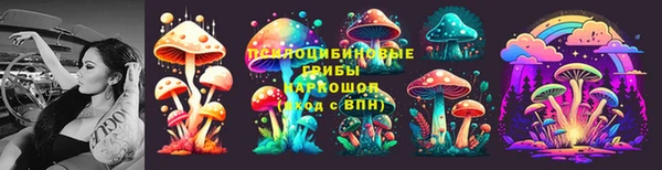 ALPHA-PVP Бородино