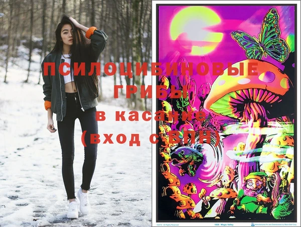 мяу мяу мука Бугульма
