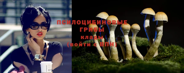 молекула духа Бронницы