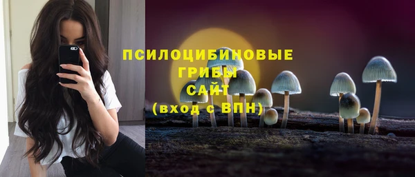 ALPHA-PVP Бородино