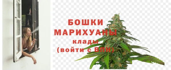 молекула духа Бронницы