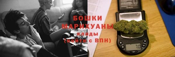молекула духа Бронницы
