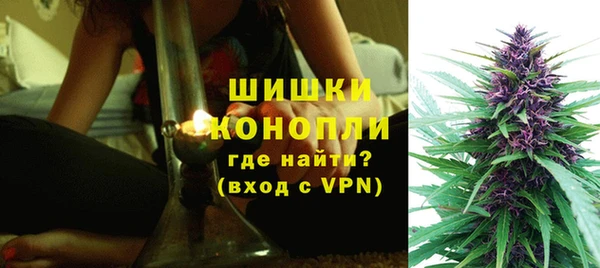 молекула духа Бронницы