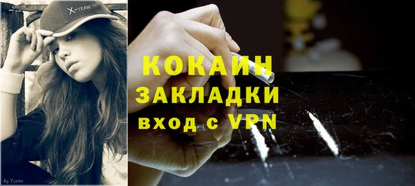 молекула духа Бронницы