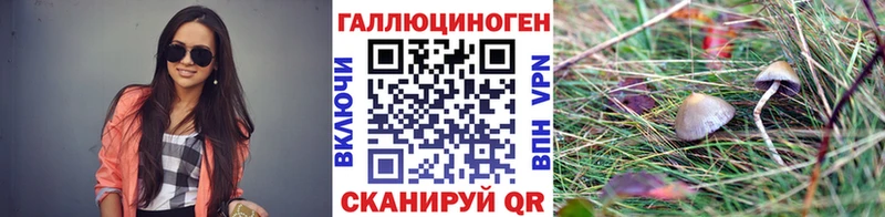 Галлюциногенные грибы Magic Shrooms  даркнет какой сайт  Томск  kraken ТОР 