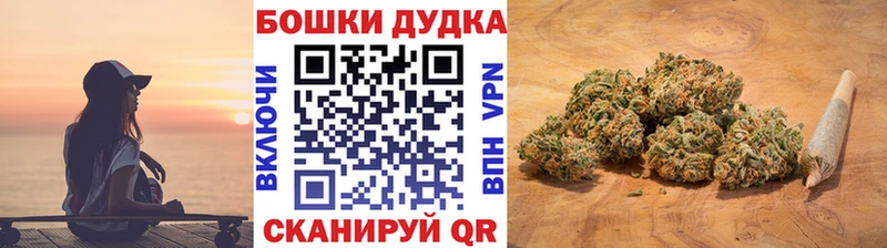 где можно купить   Томск  Конопля план 